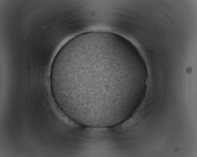 X0000101200864200807181533