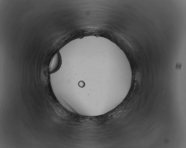 X0000101200868200807181532