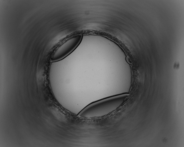 X0000101200872200807181532