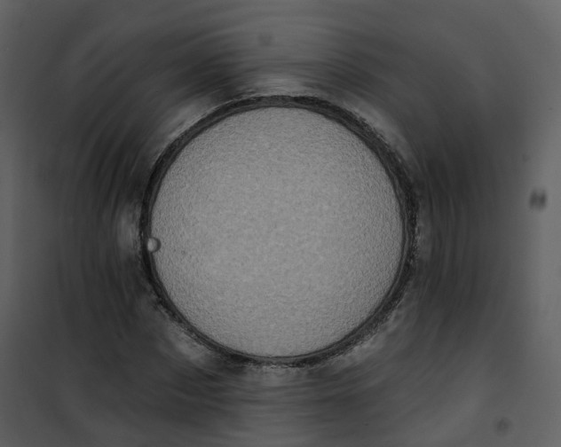 X0000101200873200807181532