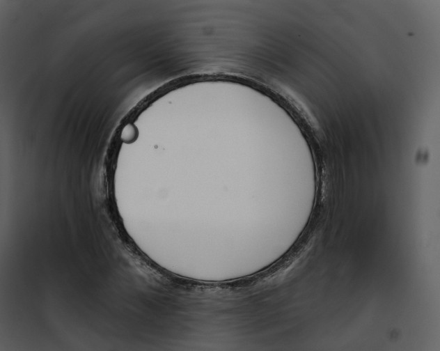 X0000101200876200807181532