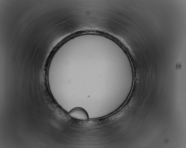 X0000101200879200807181532