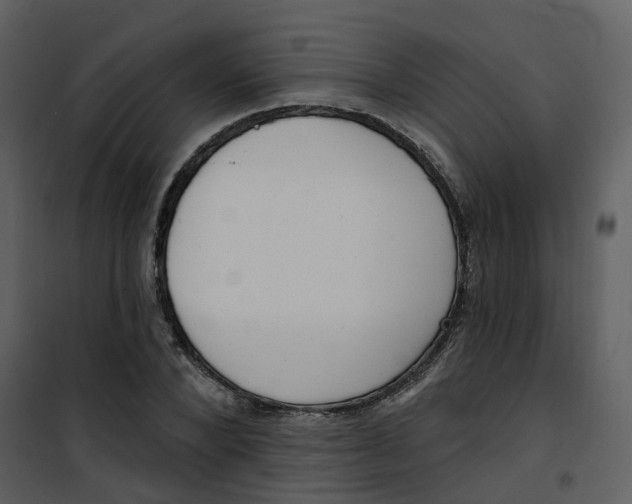 X0000101200880200807181532