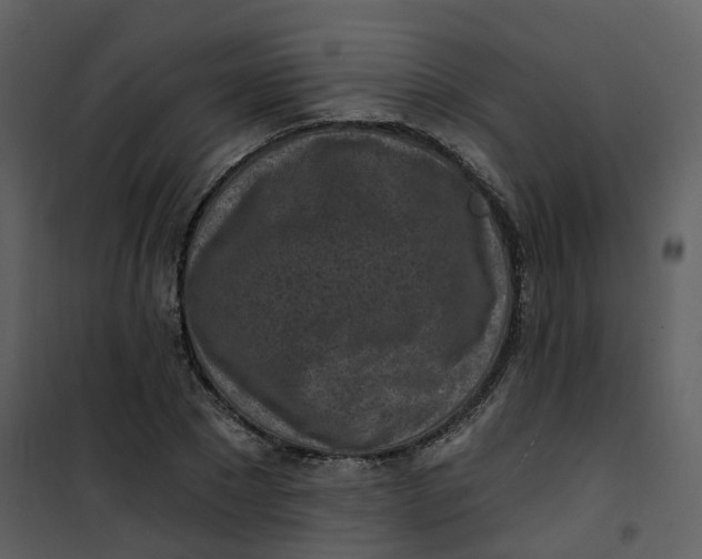 X0000101200881200807181532