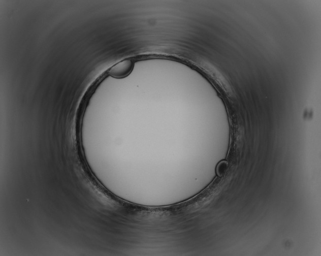 X0000101200884200807181532