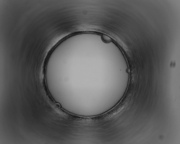 X0000101200885200807181532