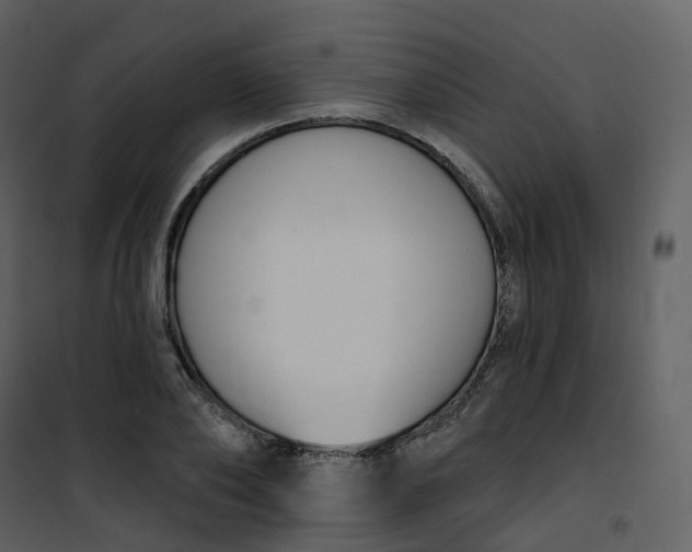 X0000101200886200807181532