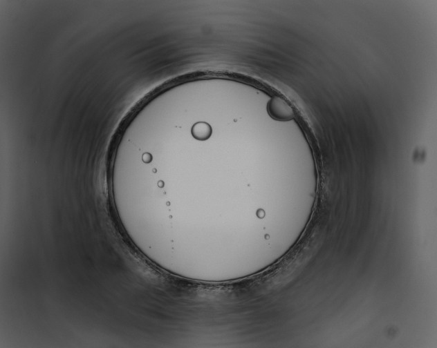 X0000101200887200807181532