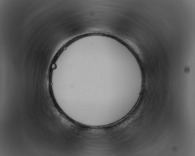 X0000101200888200807181532