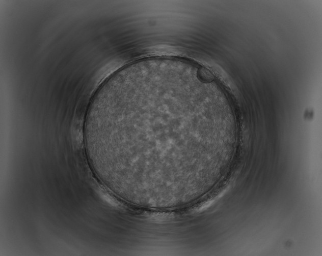 X0000101200889200807181532