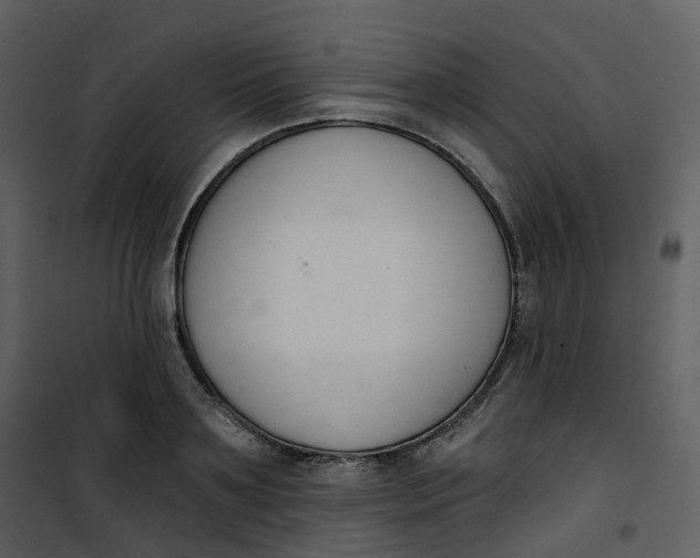 X0000101200891200807181532