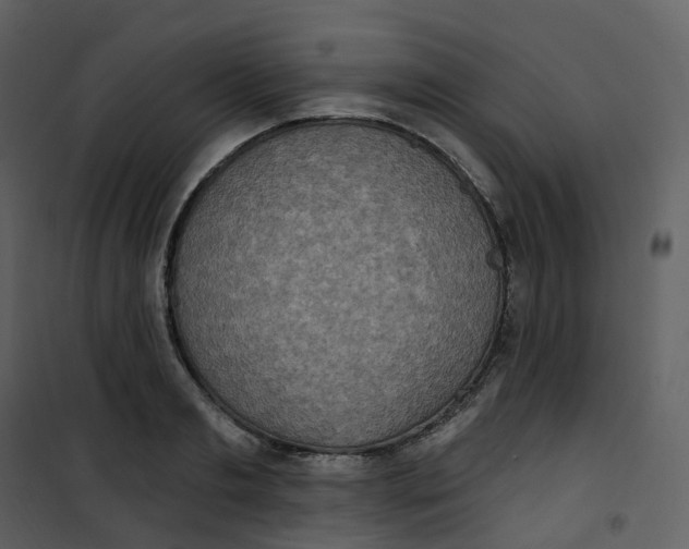 X0000101200893200807181532