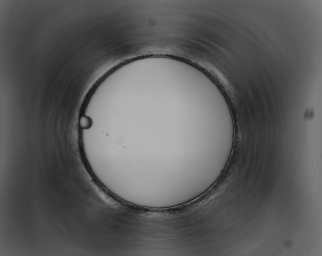 X0000101200894200807181532