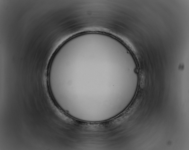 X0000101200895200807181532