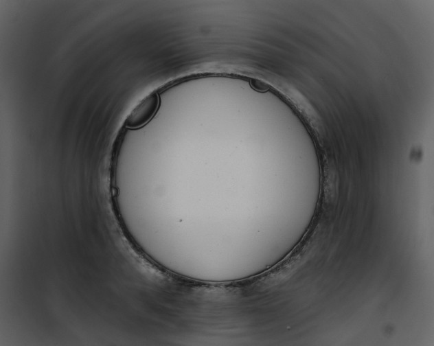 X0000101200896200807181532