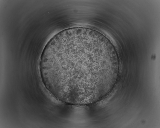 X0000101200899200807181532