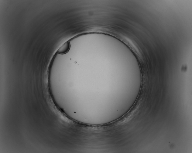 X0000101200900200807181532