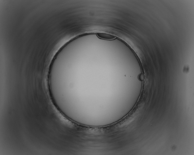 X0000101200901200807181532