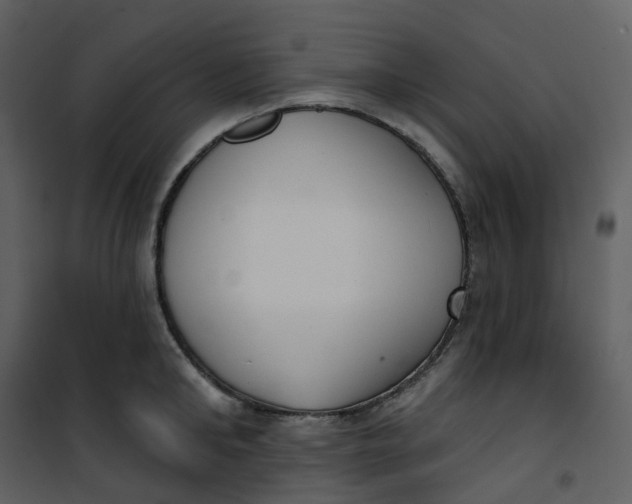 X0000101200902200807181532