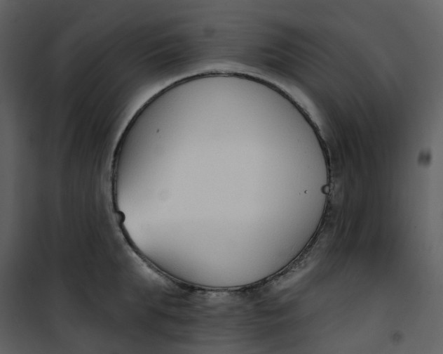 X0000101200903200807181532