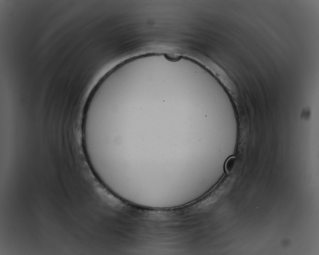 X0000101200904200807181532