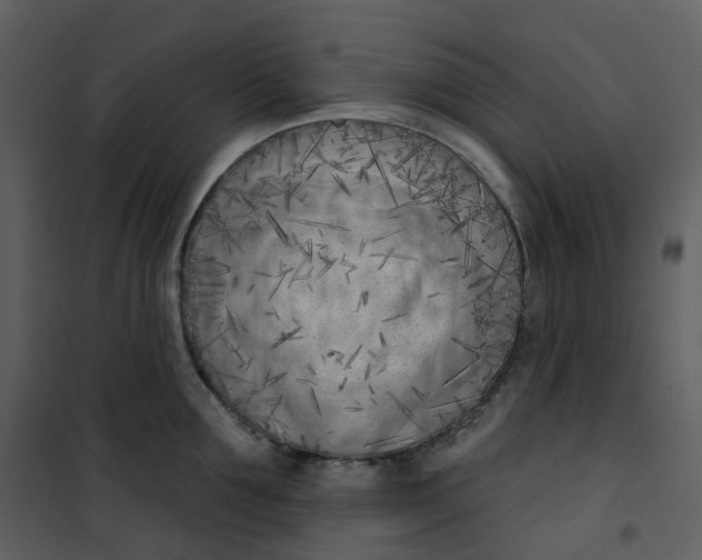 X0000101200907200807181532