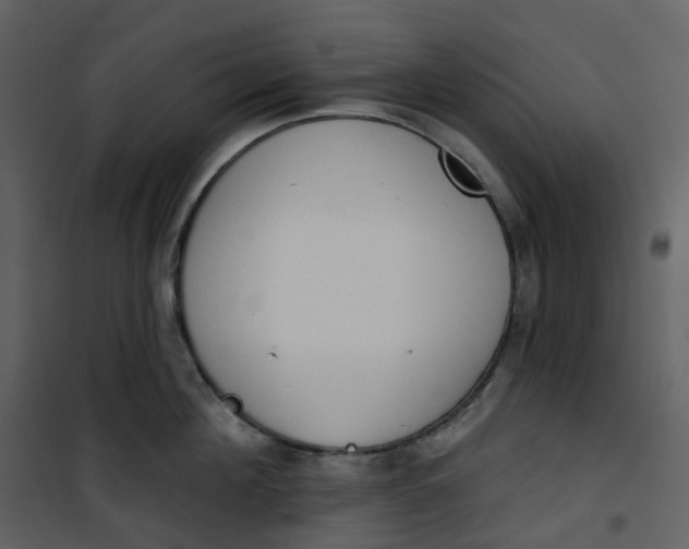 X0000101200908200807181532