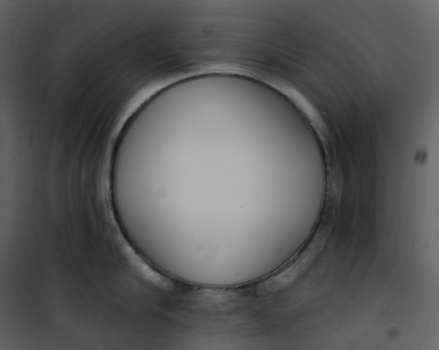 X0000101200910200807181532