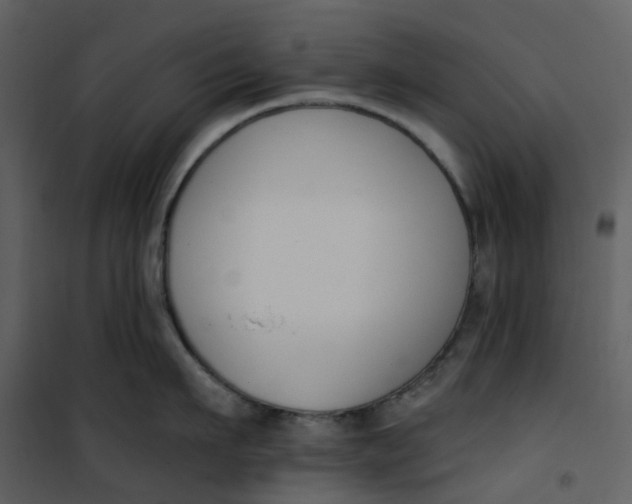 X0000101200911200807181532