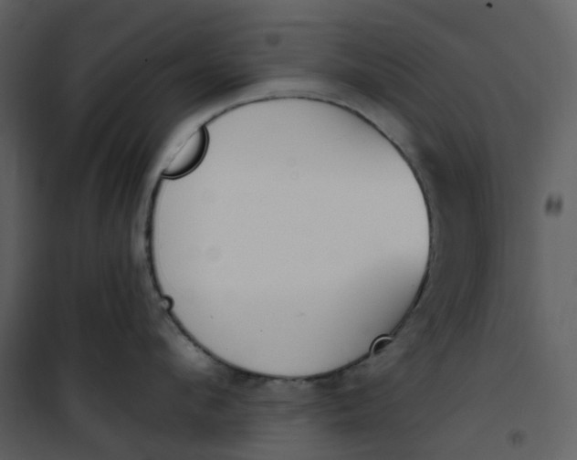 X0000101200912200807181532