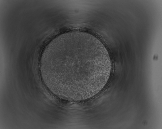 X0000101200913200807181531