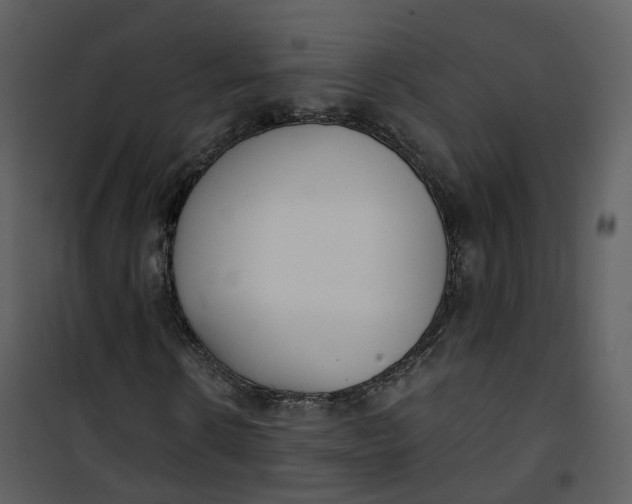 X0000101200914200807181531