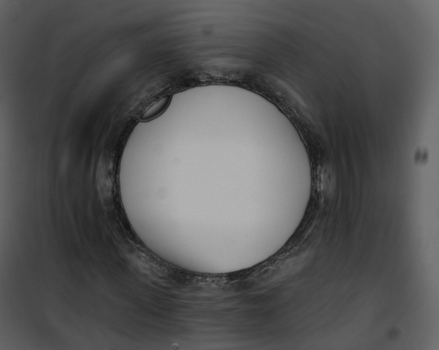 X0000101200915200807181531