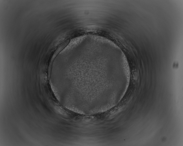 X0000101200916200807181531