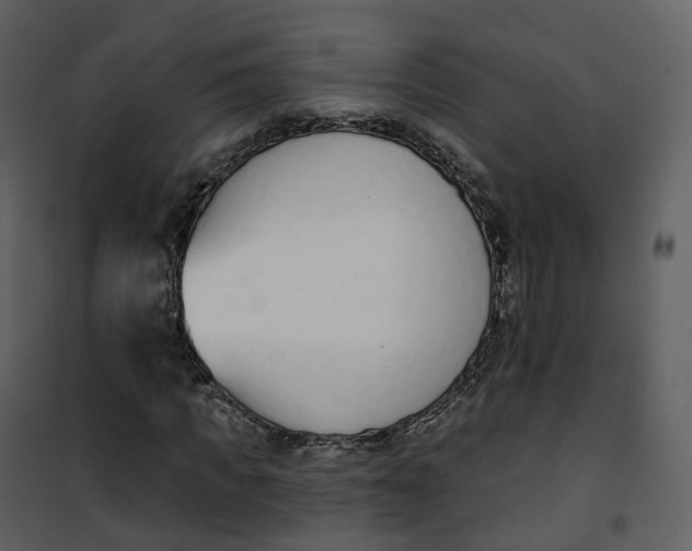 X0000101200917200807181531