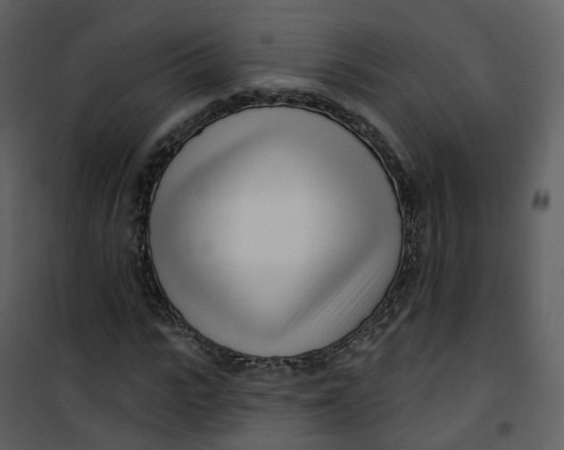 X0000101200919200807181531