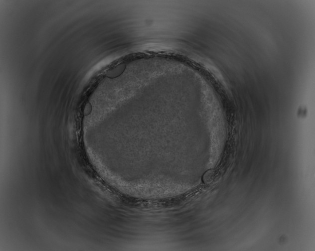 X0000101200920200807181531