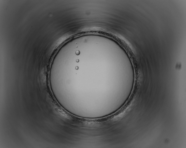 X0000101200921200807181531