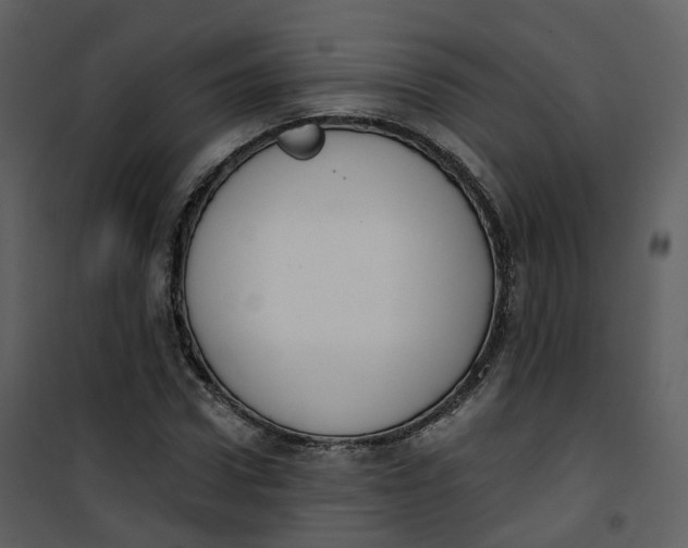 X0000101200922200807181531