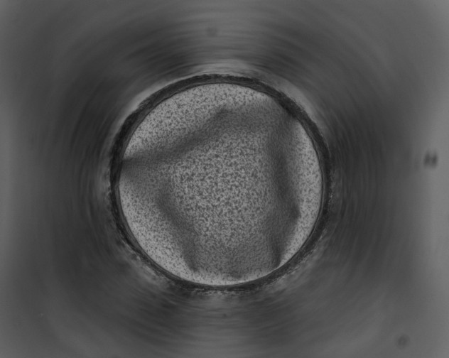 X0000101200923200807181531