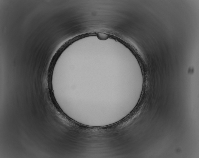 X0000101200924200807181531