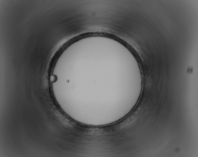 X0000101200927200807181531