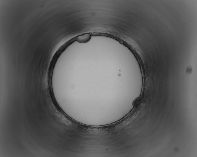 X0000101200928200807181531