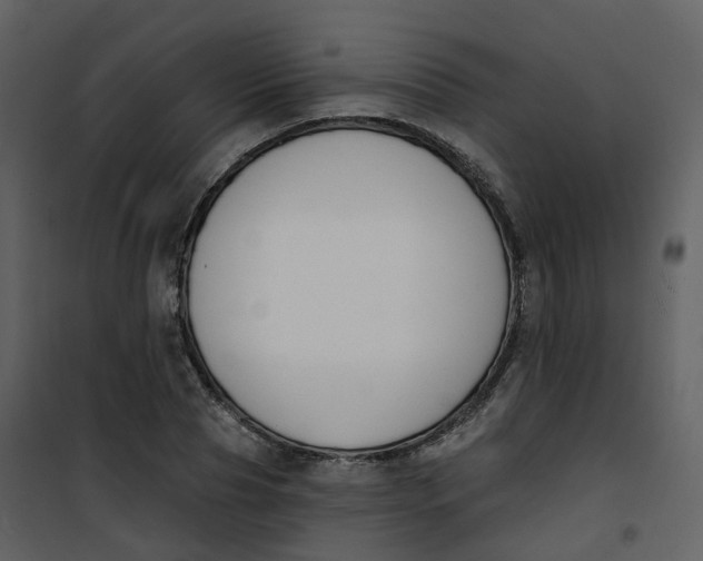 X0000101200929200807181531