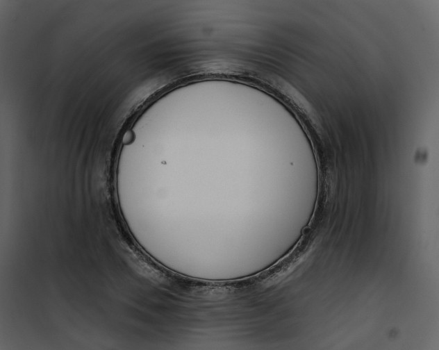 X0000101200930200807181531