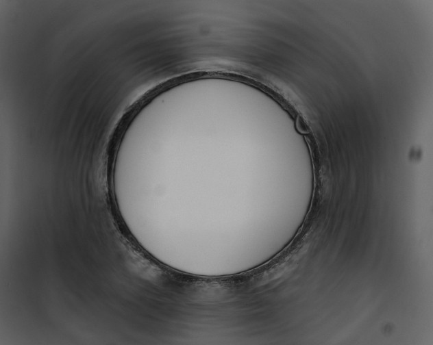 X0000101200931200807181531