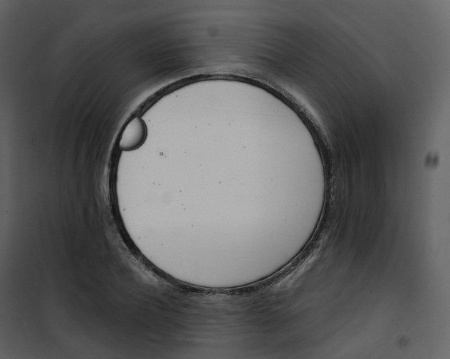 X0000101200932200807181531