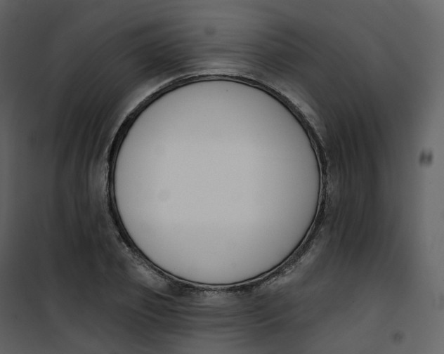 X0000101200933200807181531