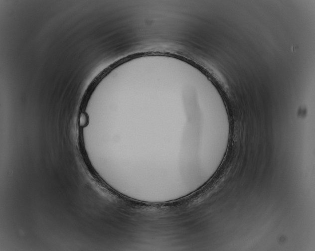 X0000101200936200807181531