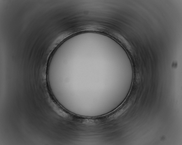 X0000101200938200807181531